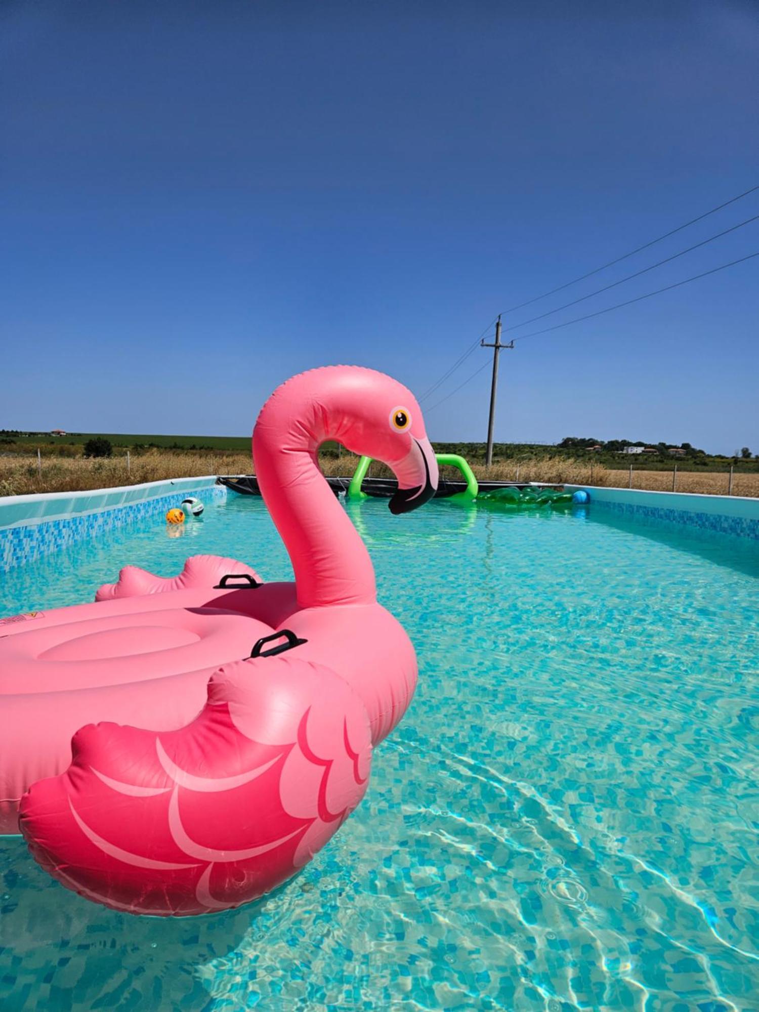 Mar A Lago Glamping23 Douăzeci şi Trei August Exteriör bild
